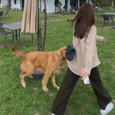 成龙历险记第二季